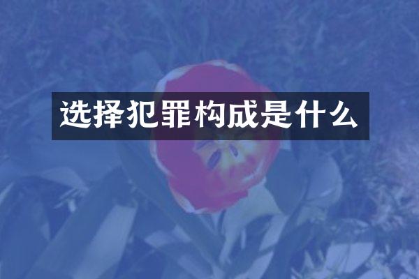 选择犯罪构成是什么