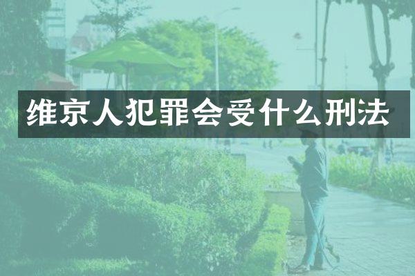 维京人犯罪会受什么刑法