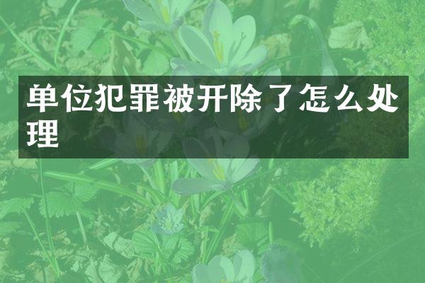 单位犯罪被开除了怎么处理