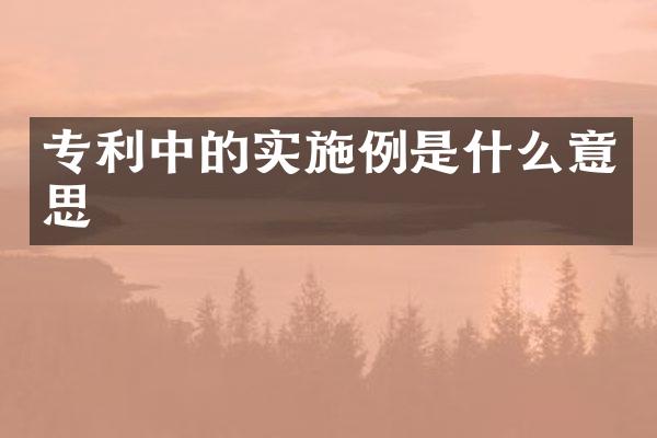 专利中的实施例是什么意思