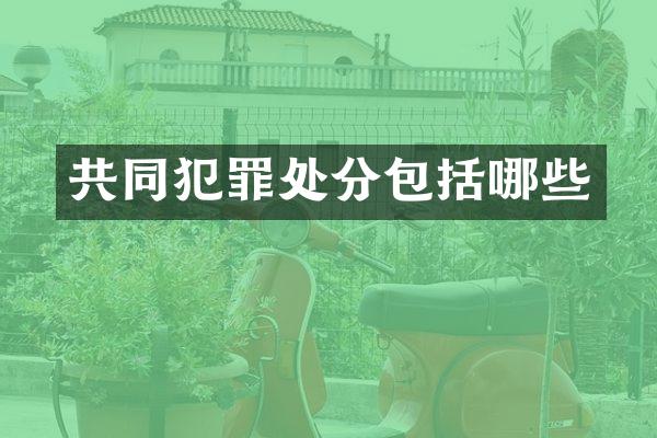 共同犯罪处分包括哪些