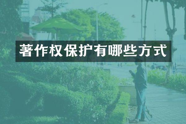 著作权保护有哪些方式