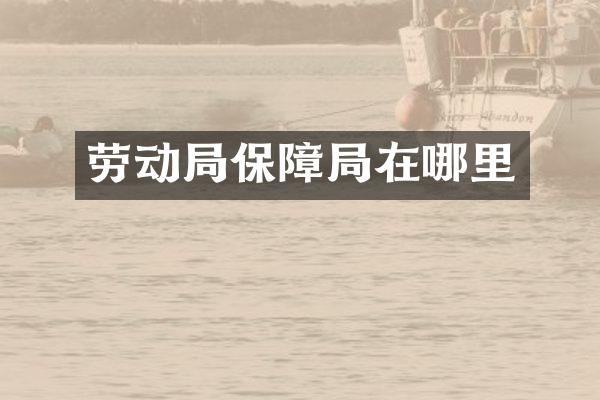 劳动局保障局在哪里
