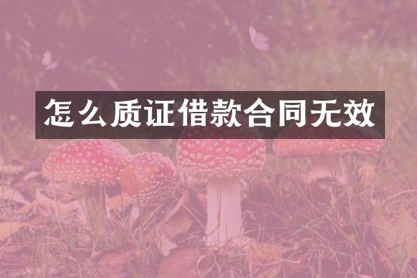 怎么质证借款合同无效