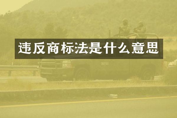 违反商标法是什么意思