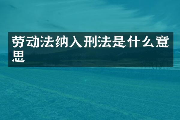 劳动法纳入刑法是什么意思