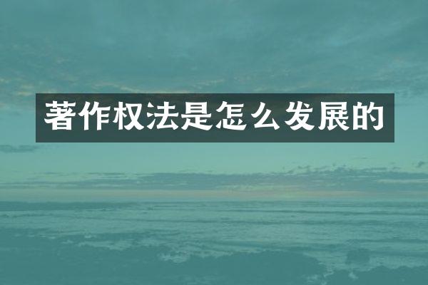 著作权法是怎么发展的