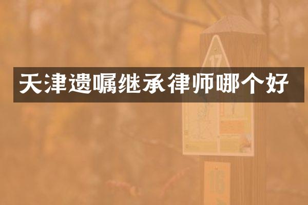 天津遗嘱继承律师哪个好