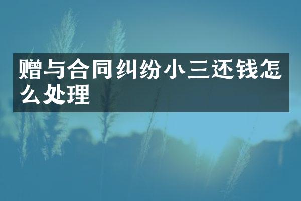 赠与合同纠纷还钱怎么处理