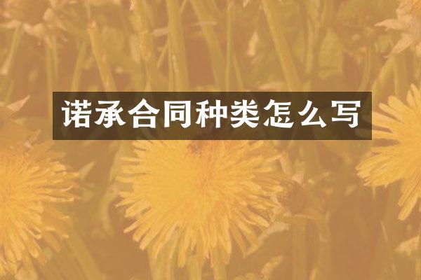 诺承合同种类怎么写