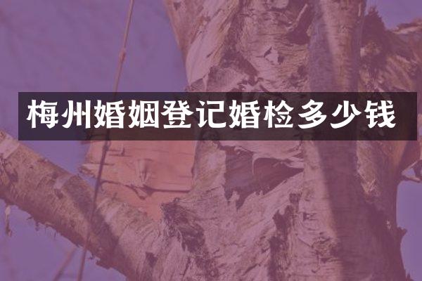 梅州婚姻登记多少钱