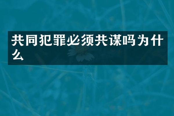 共同犯罪必须共谋吗为什么
