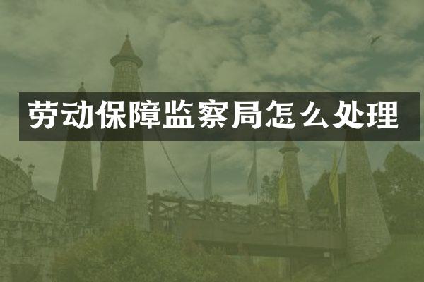 劳动保障监察局怎么处理