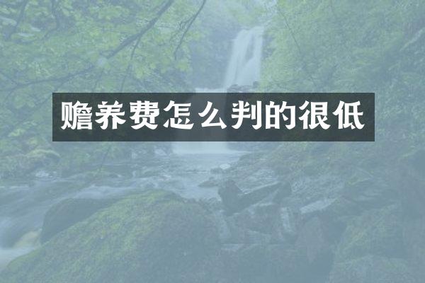 赡养费怎么判的很低