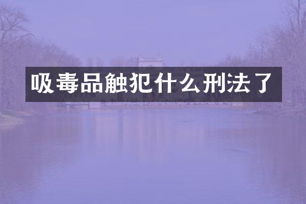 吸触犯什么刑法了