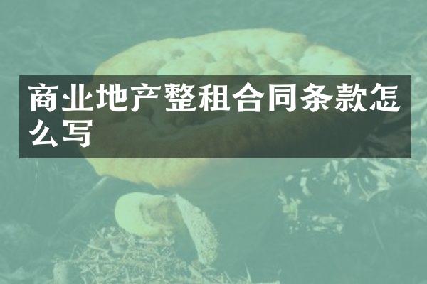 商业地产整租合同条款怎么写