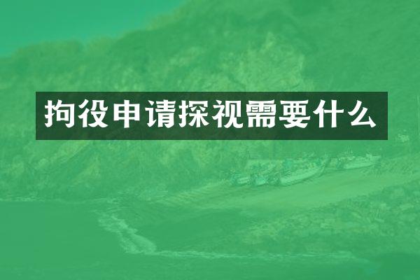 拘役申请探视需要什么