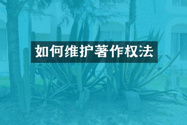 如护著作权法