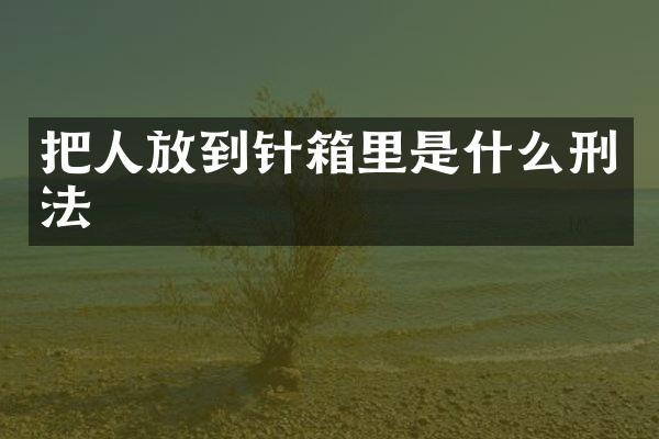 把人放到针箱里是什么刑法