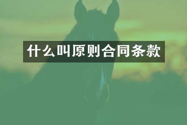什么叫原则合同条款