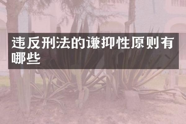 违反刑法的谦抑性原则有哪些