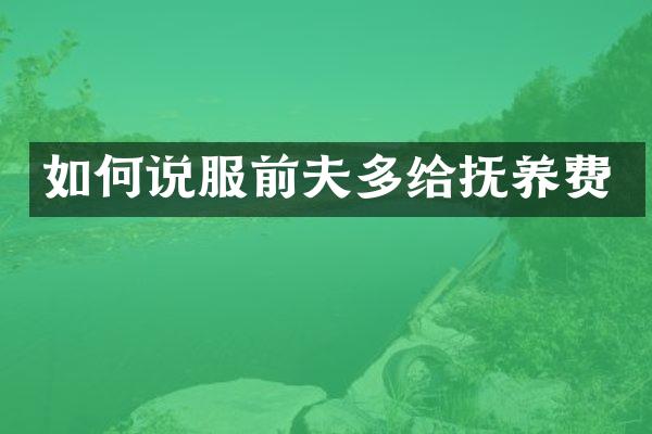 如何说服前夫多给抚养费