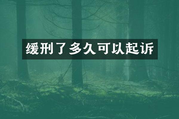 缓刑了多久可以起诉