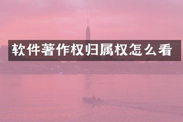 软件著作权归属权怎么看