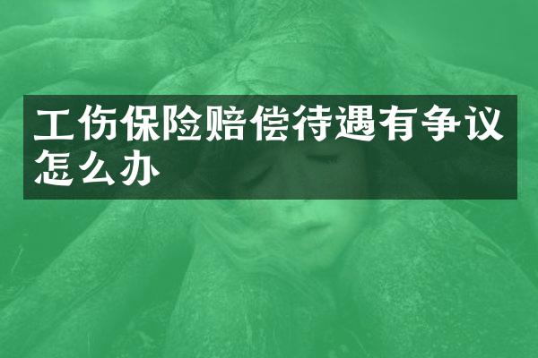 工伤保险赔偿待遇有争议怎么办