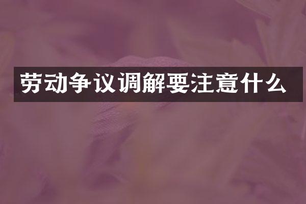 劳动争议调解要注意什么