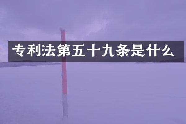 专利法第五十九条是什么