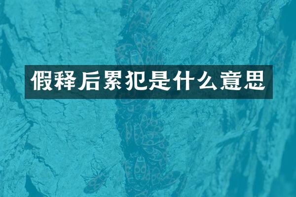 假释后是什么意思