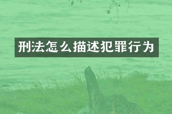 刑法怎么描述犯罪行为