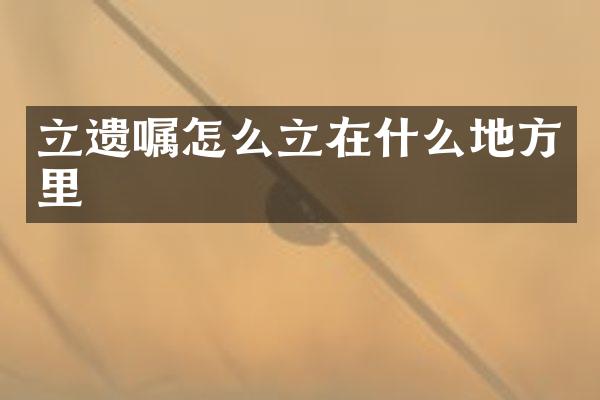 立遗嘱怎么立在什么地方里