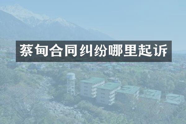 蔡甸合同纠纷哪里起诉
