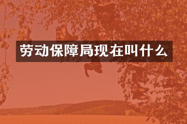 劳动保障局现在叫什么