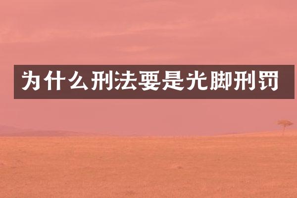 为什么刑法要是光罚