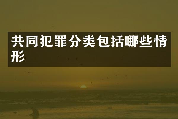 共同犯罪分类包括哪些情形