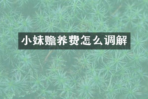 小妹赡养费怎么调解
