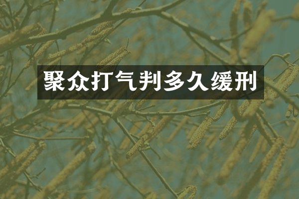 聚众打气判多久缓刑
