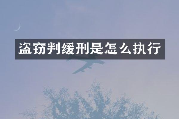 盗窃判缓刑是怎么执行