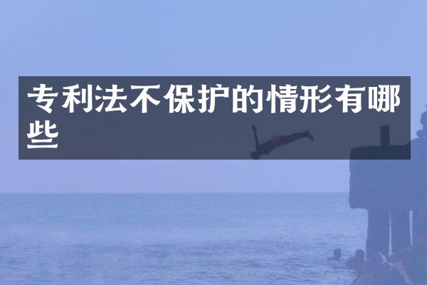 专利法不保护的情形有哪些