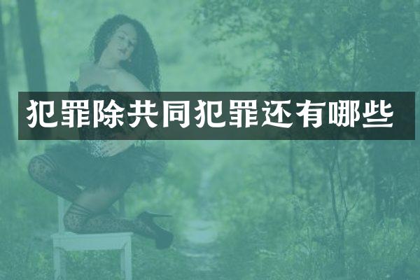 犯罪除共同犯罪还有哪些
