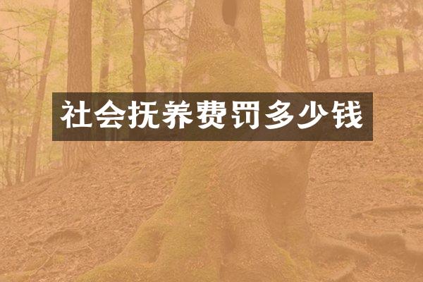 社会抚养费罚多少钱