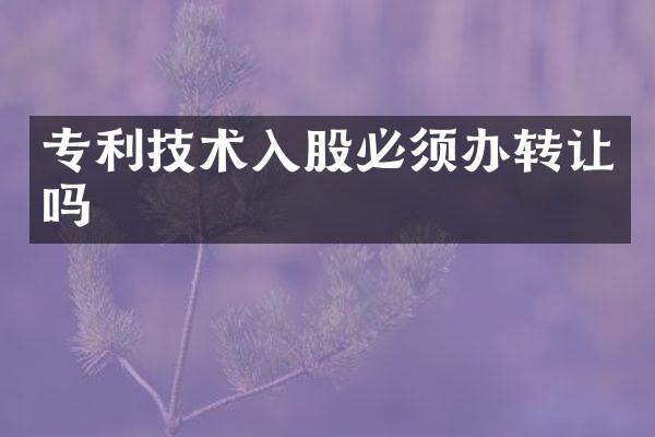 专利技术入股必须办转让吗