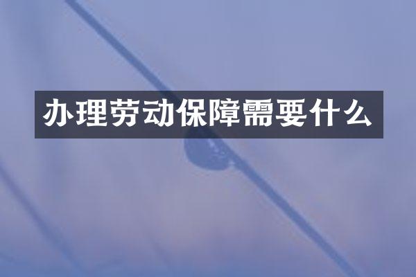 办理劳动保障需要什么