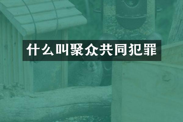 什么叫聚众共同犯罪