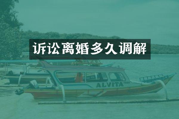 诉讼离婚多久调解