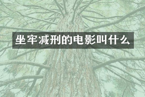 坐牢减刑的电影叫什么