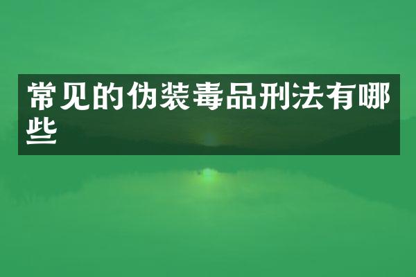 常见的伪装刑法有哪些